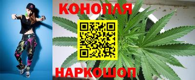 крисы Краснознаменск