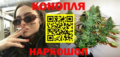 крисы Краснознаменск