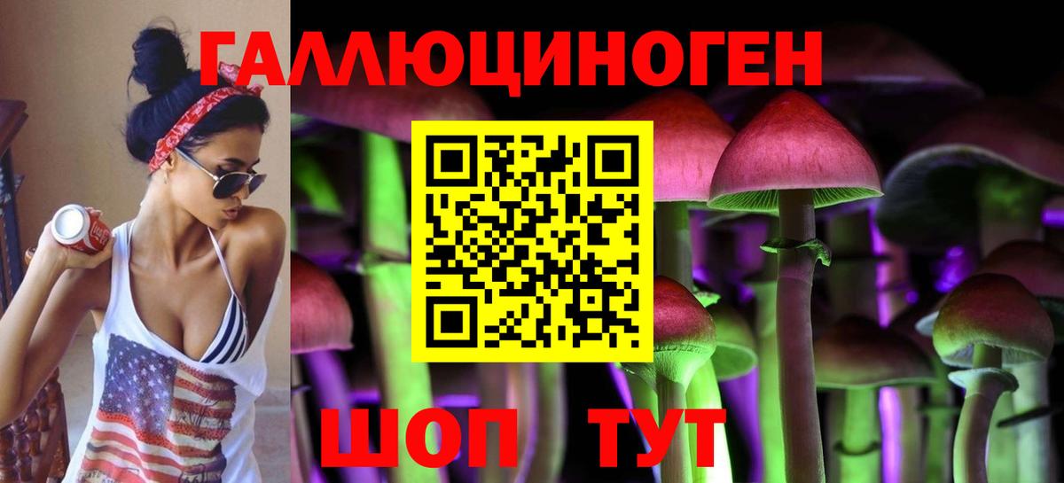 Псилоцибиновые грибы Psilocybe  Вход с VPN  Псилоцибиновые грибы ЛСД  купить наркотик  Хасавюрт 
