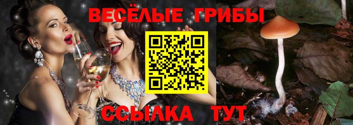 Псилоцибиновые грибы прущие грибы Хасавюрт